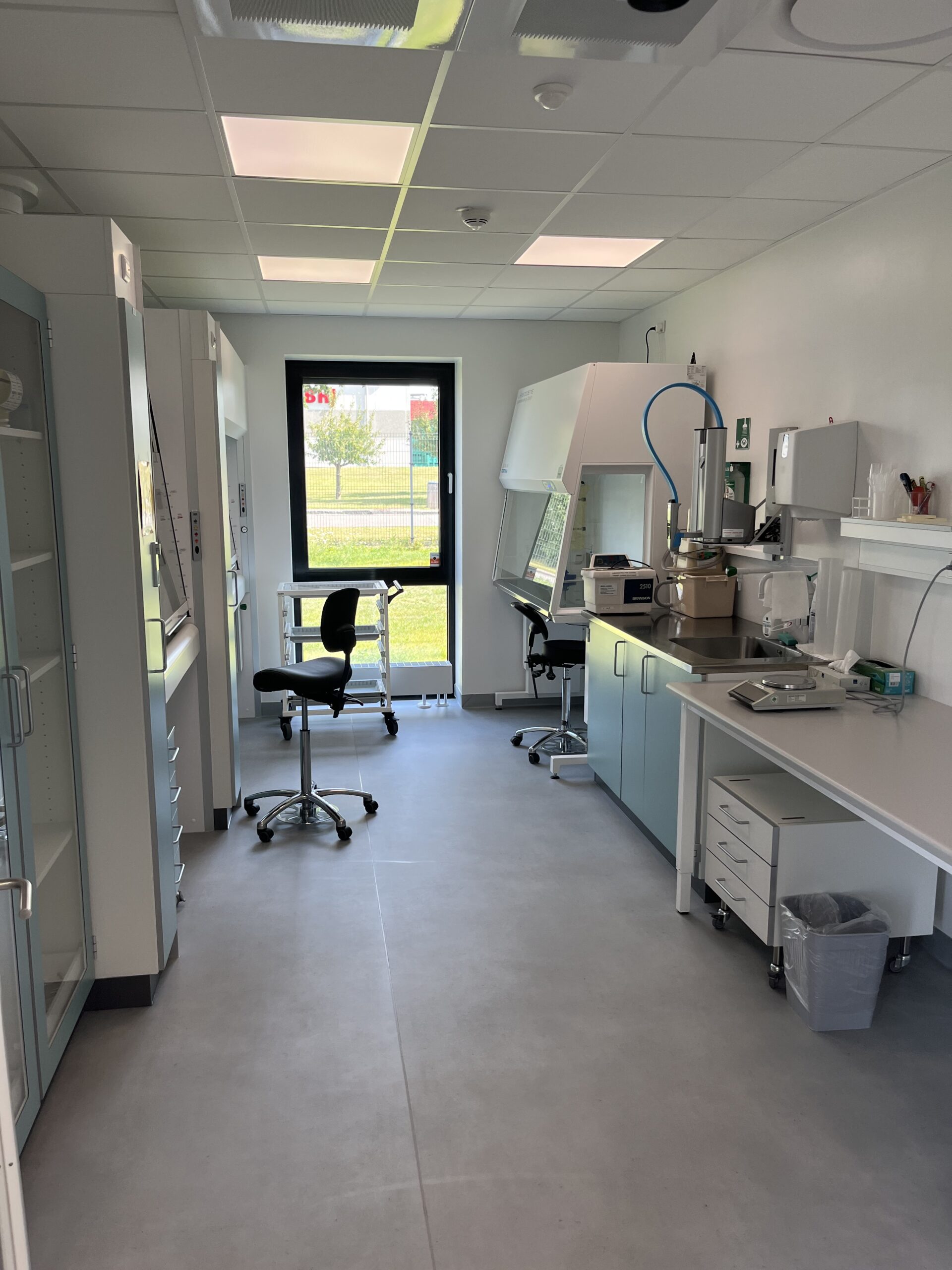 Novonesis